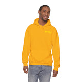 PTW 'Prove Them Wrong' Hoodie (Multiple Colors W/Yellow Logo)
