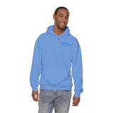 PTW 'Prove Them Wrong' Hoodie (Multiple Colors W/Light Blue Logo)
