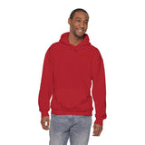 PTW 'Prove Them Wrong' Hoodie (Multiple Colors W/Red Logo)
