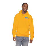 PTW 'Prove Them Wrong' Hoodie (Multiple Colors W/Light Blue Logo)