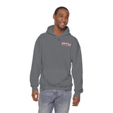 PTW 'Prove Them Wrong' Hoodie (Multiple Colors W/Pink Logo)